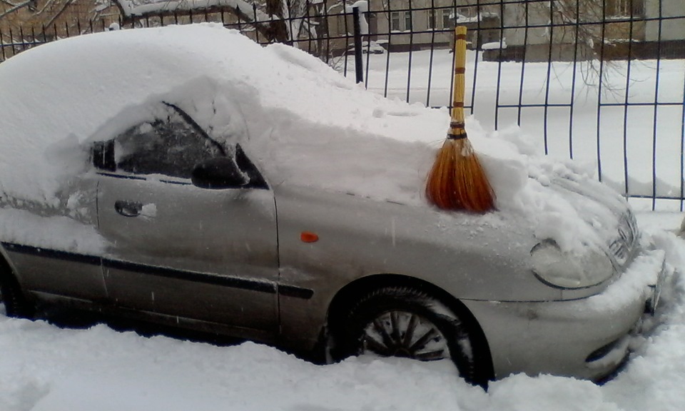Проліски, їх мати... 1
