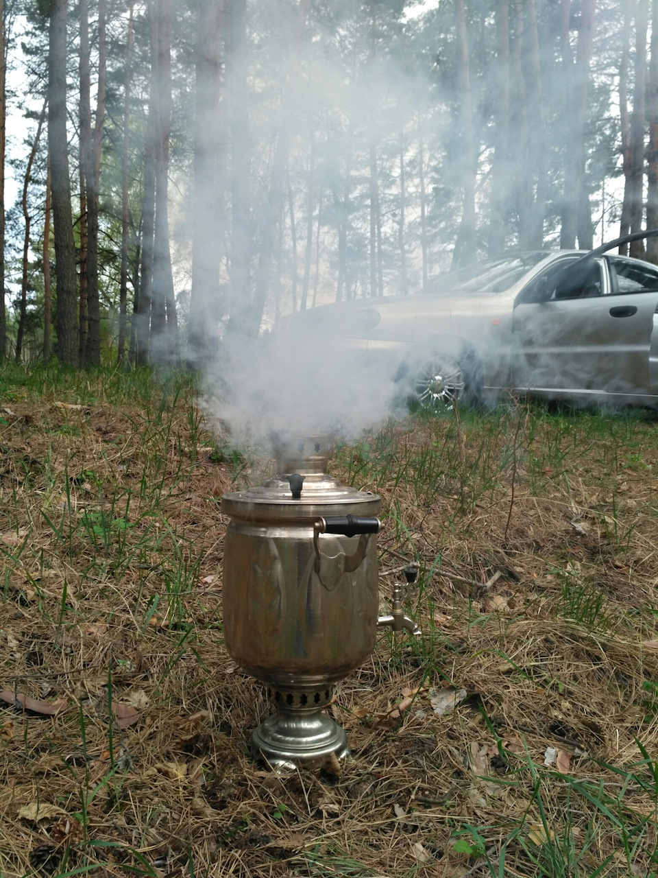 Вихідні на природі. 5