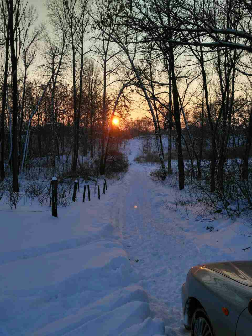 Зимові розваги. 1