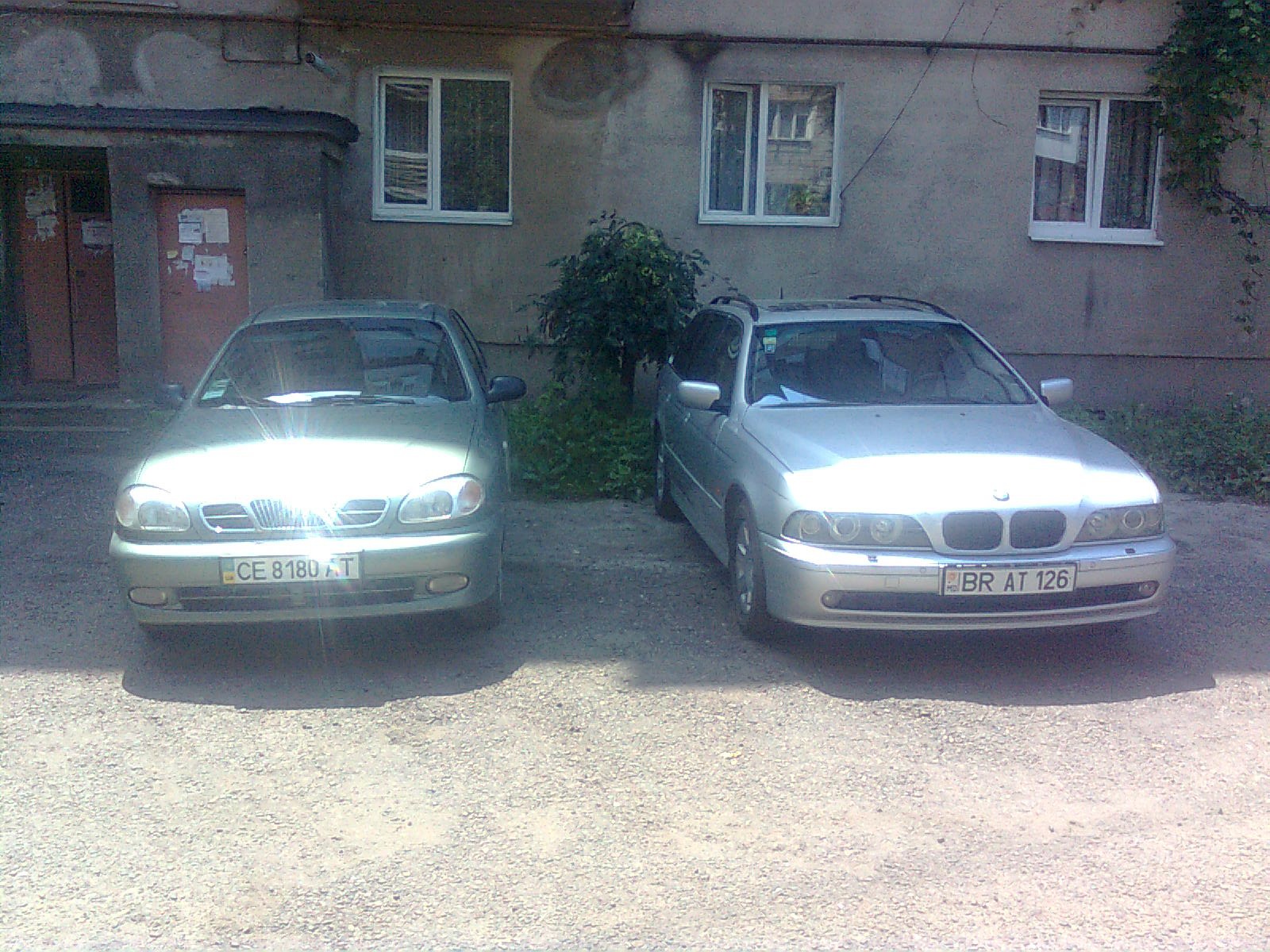 BMW & DAEWOO 2