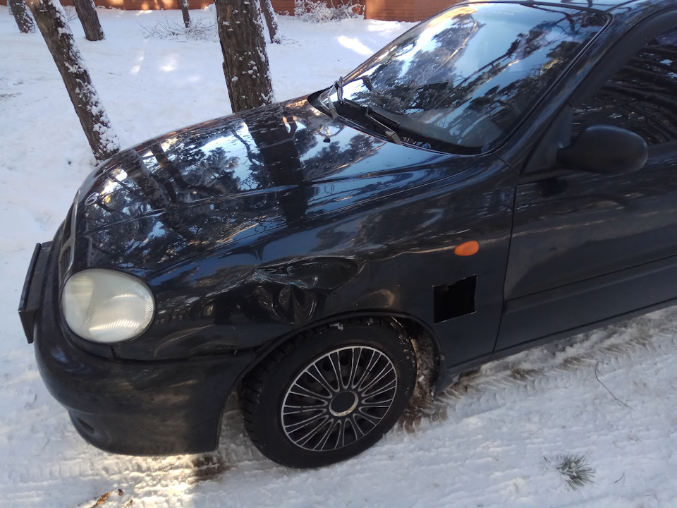 Перший нормальний сніг у Дніпрі 21.01.2018 4