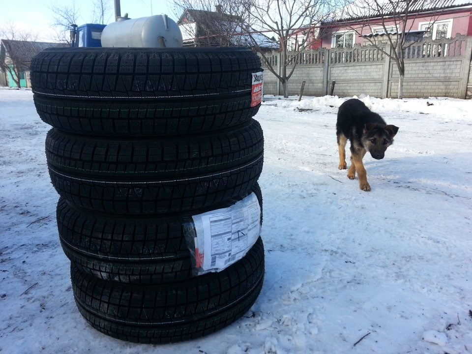 Bridgestone Blizzak Revo GZ 5