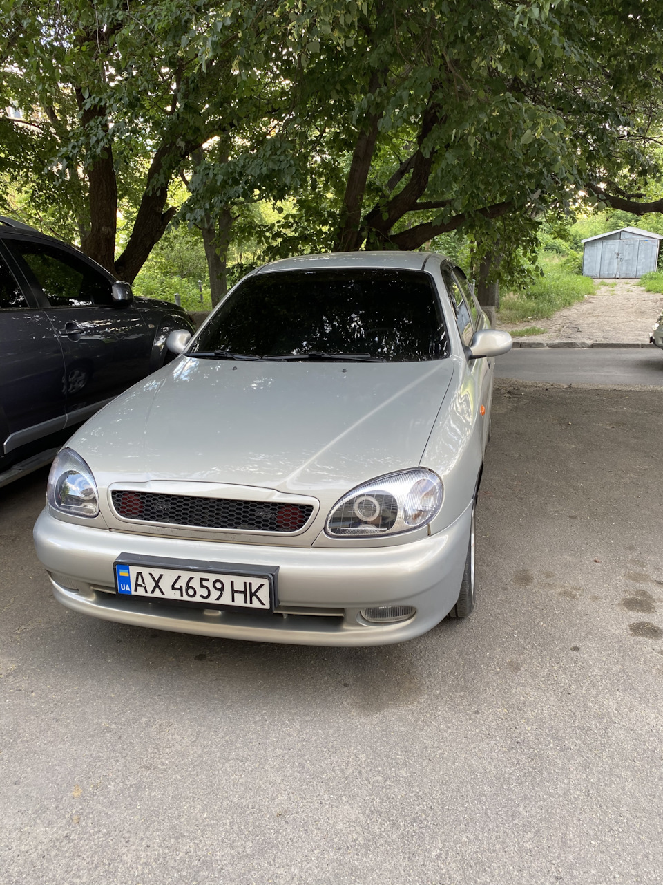 Ура, нарешті! Тонування лобаша 4