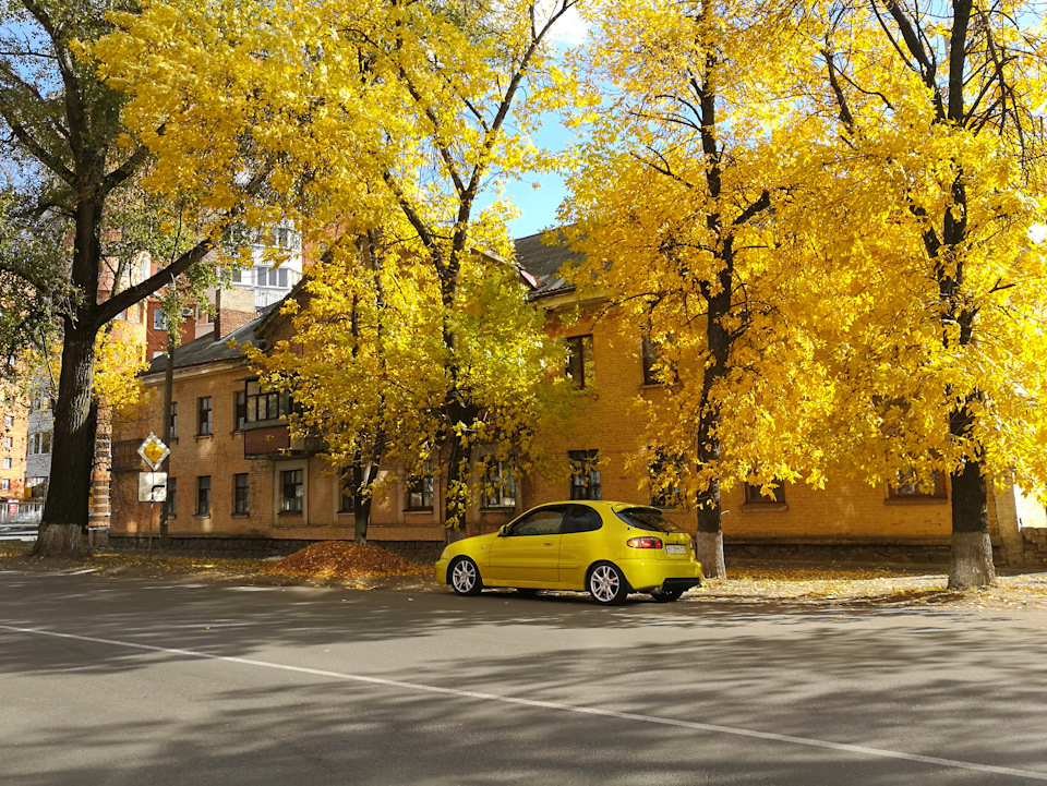 Фотка осені ... тільки і того. 1