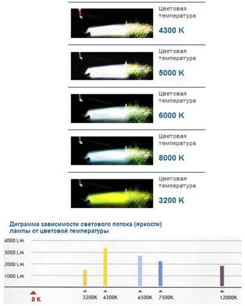 Ксенонізація пройшла успішно)))) 3