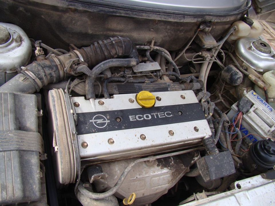 ИЩУ МОТОР ДЛЯ СВАПа! x20xev, c20sel, x20sed. 2