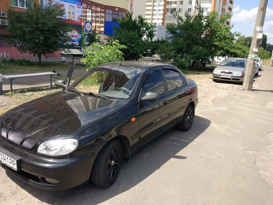 Вітровічки
