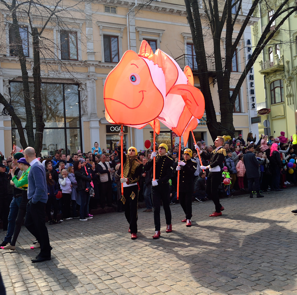 Гуморина 2017 4