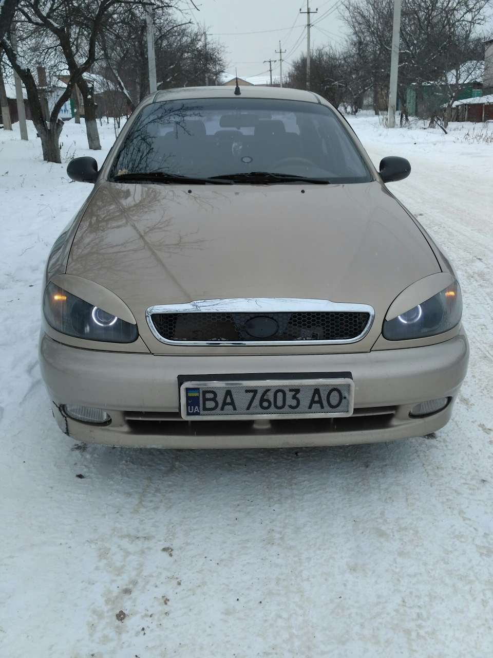 Грати від Заз Lanos 2