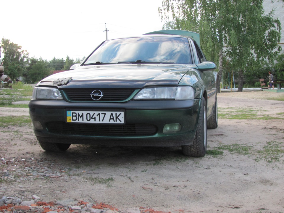 Зелені ПТФ 4