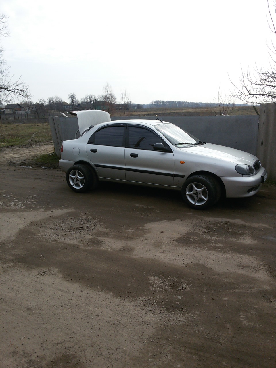 Тапочки стоять! 1