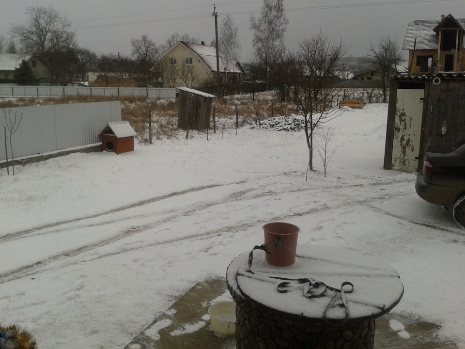 Неприятна подія на подвір'ї 1