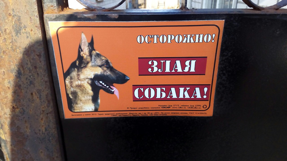 Тепло і сонце - день чудовий, час купатися ... кінь залізний)) 3
