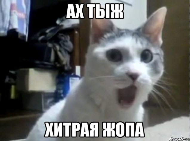 Хитрожість наших товаришів Поліції 2