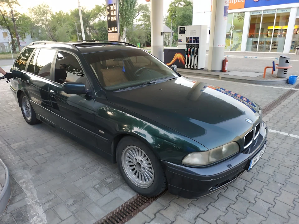 а у нас новий улюбленець :)