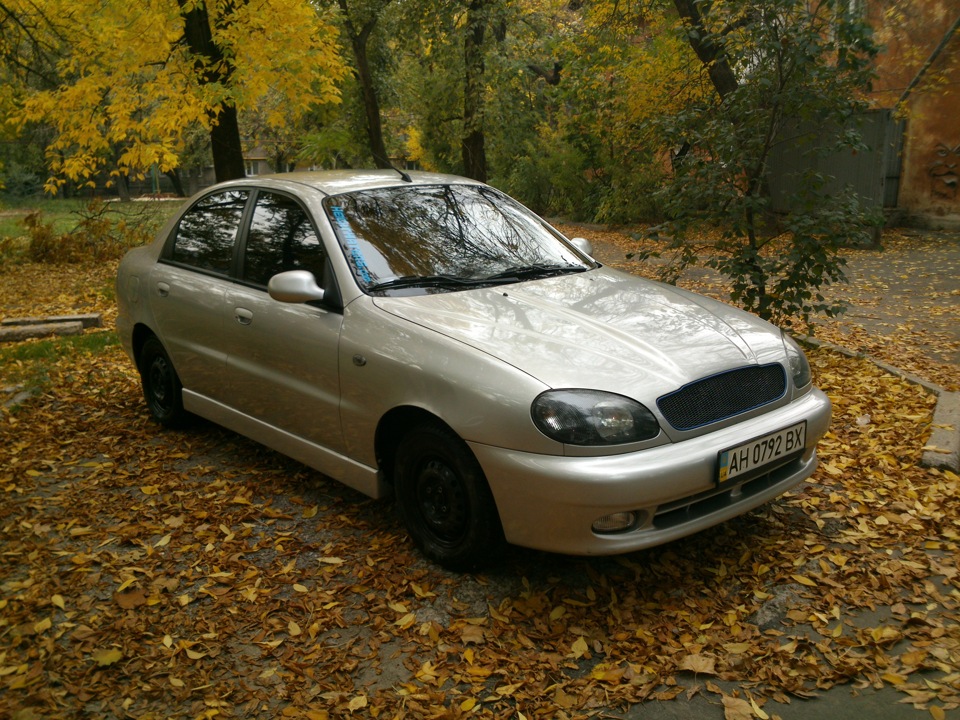 глушник мій 5