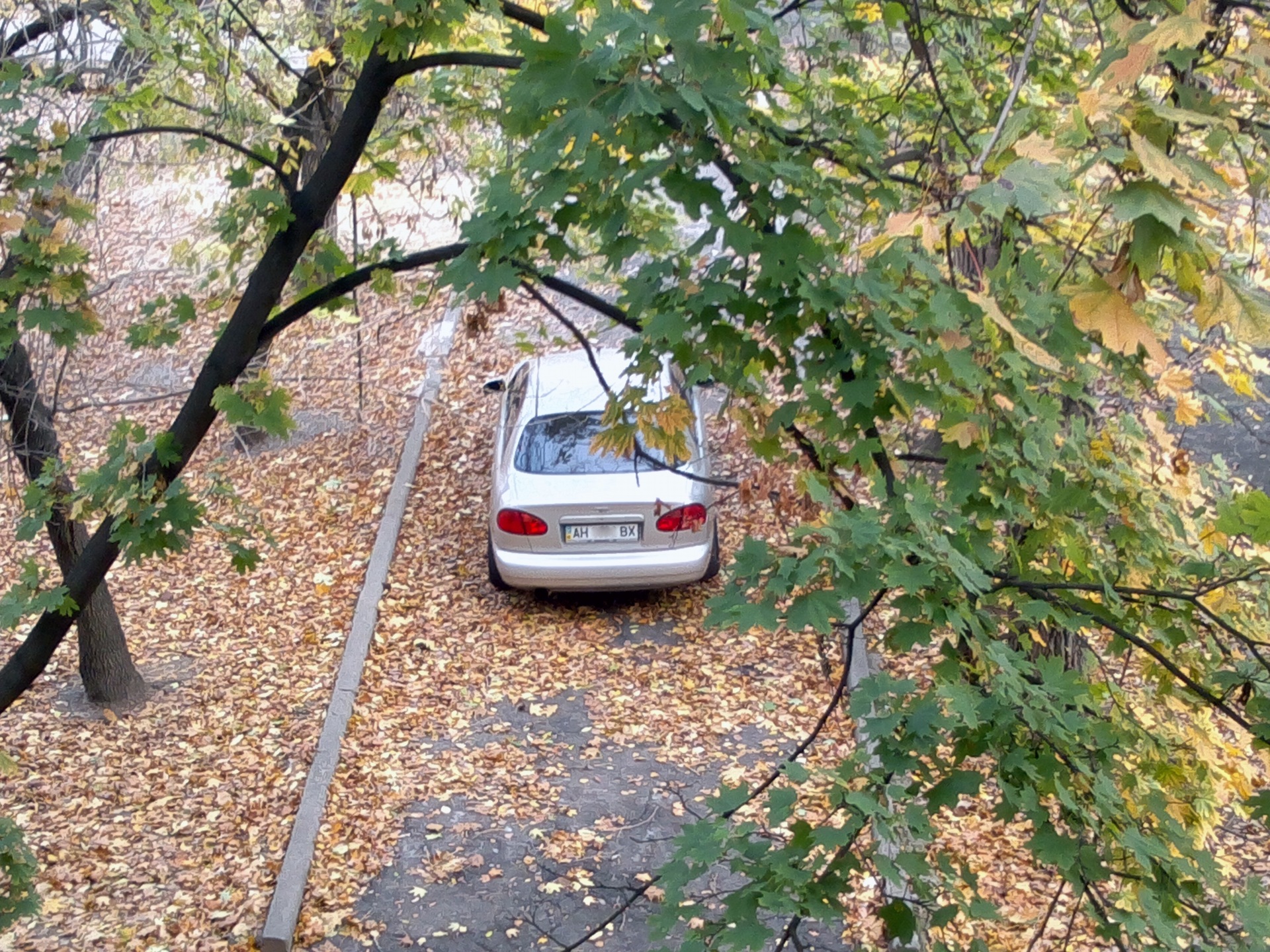 Розгорнув арки! 1