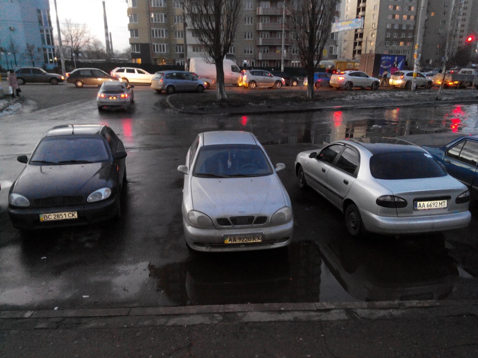 Несподівана та дуже приємна зустріч! 1