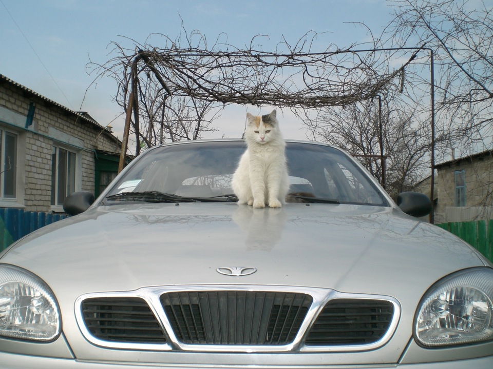 Всякие фотки 3