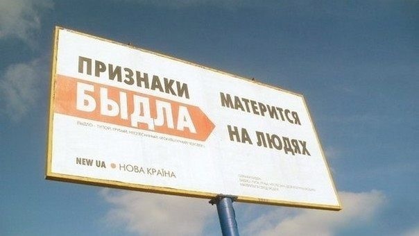 Свині навколо нас. 4