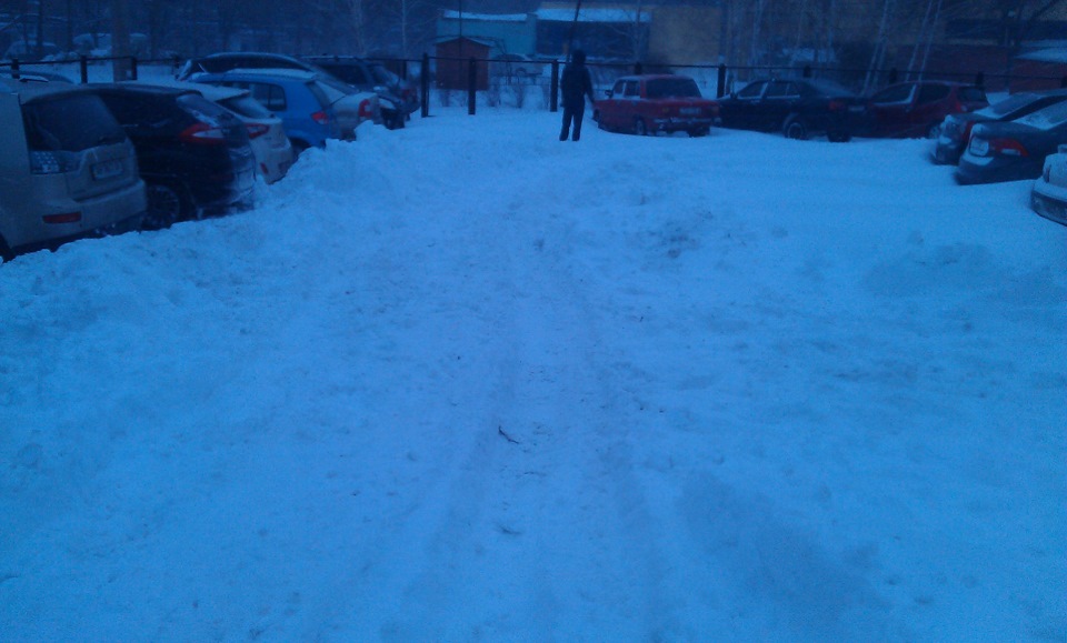Січнева Зима 2014 3