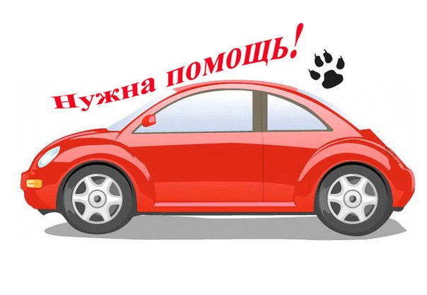 Help! Не заводяться! Потрібна Ваша допомога! (Виліковано) 2