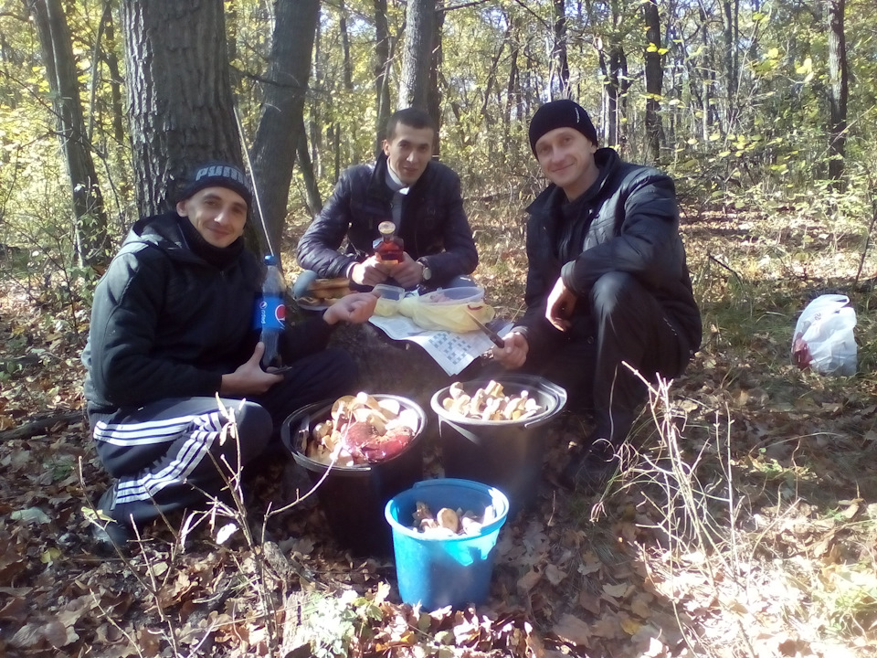 Поїздка по гриби 1