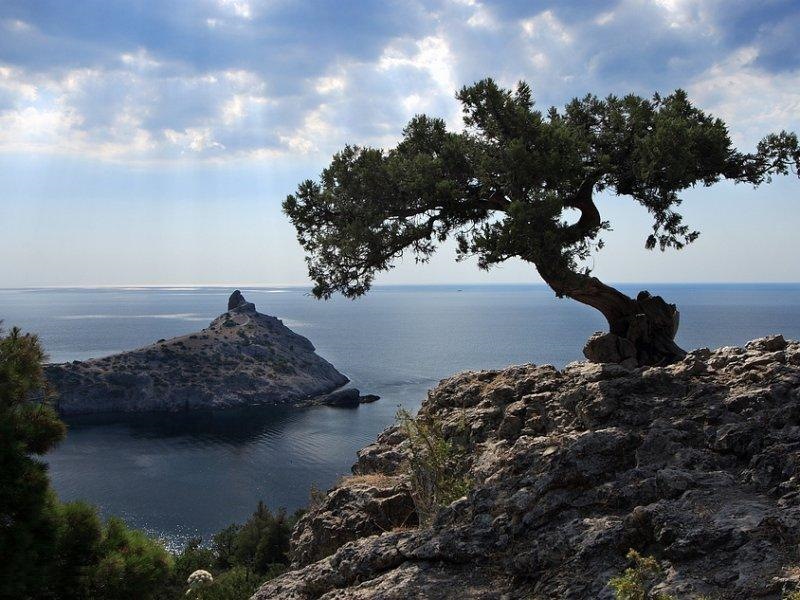 14)Поїхав до Криму:) 1