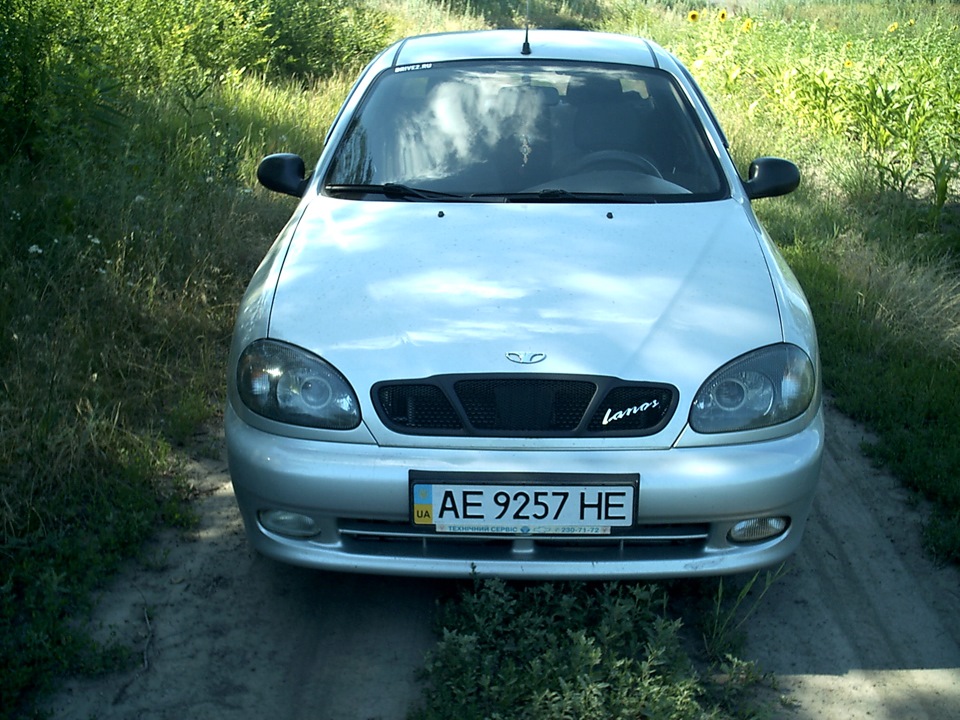 Просто фото 1