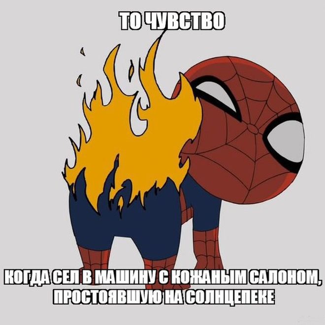 Коли в автомобілі шкіряний салон)))) 1