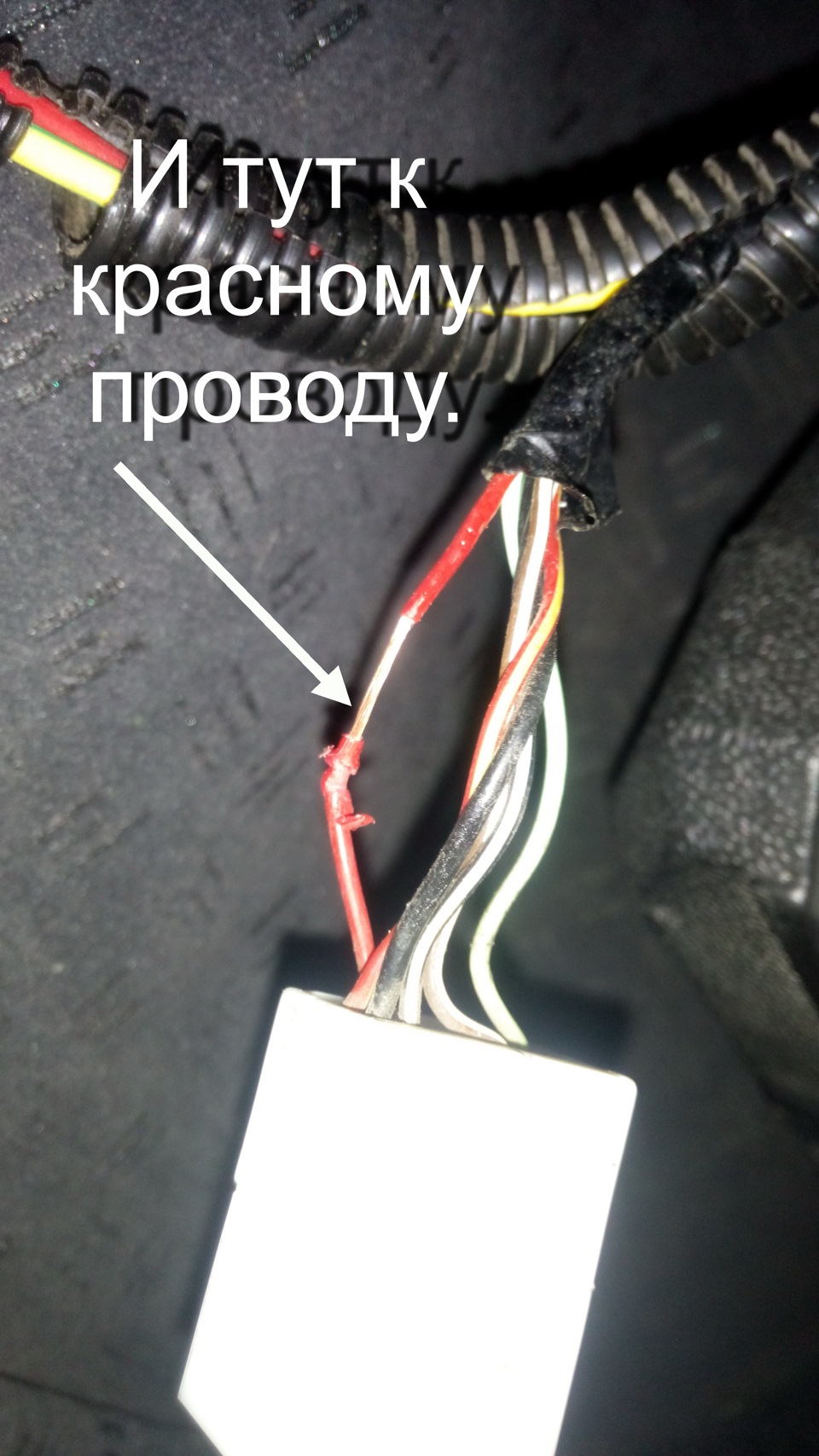 Стоп сиглали в туманки 2