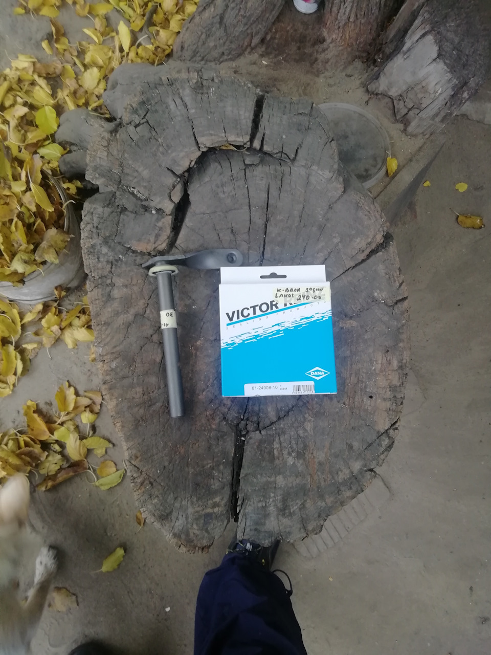 Прикупив запчастини для лікування. 4