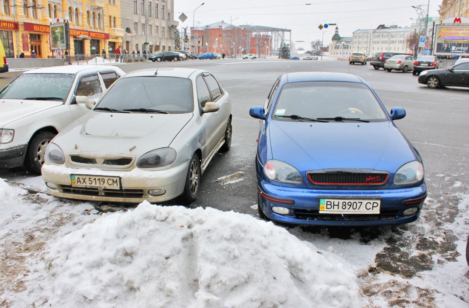 Зустріч двох шкіряних зайців:) 1