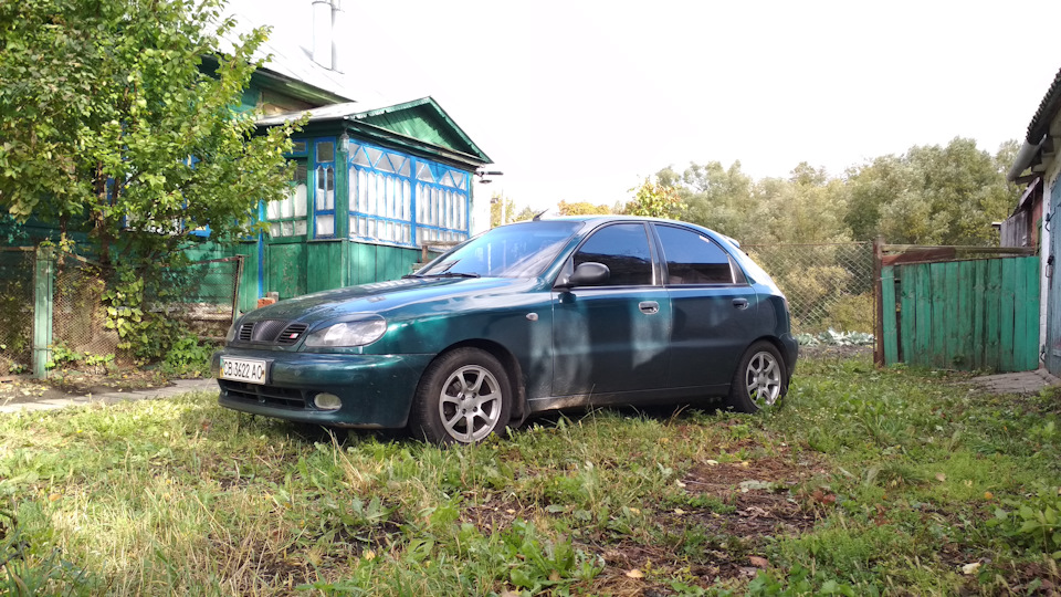 Вії, шильдик і загальний вигляд. 5