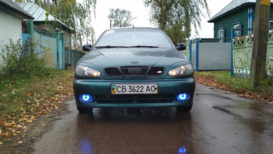 Вії, шильдик і загальний вигляд. 2