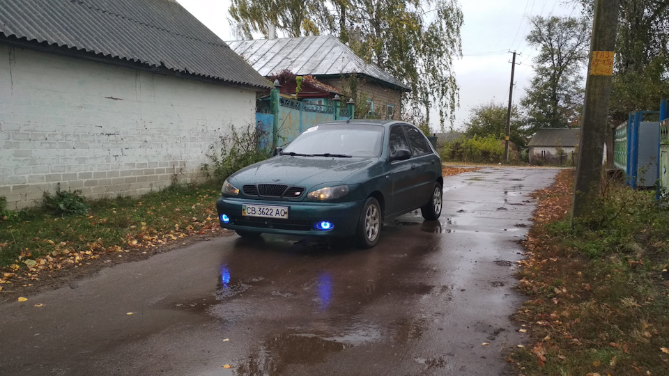 Вії, шильдик і загальний вигляд. 1