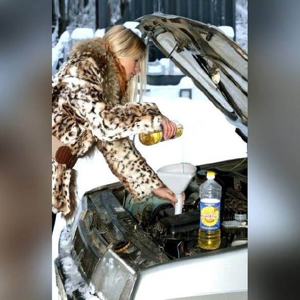 Вибір мастила на зиму, Ваша думка 1