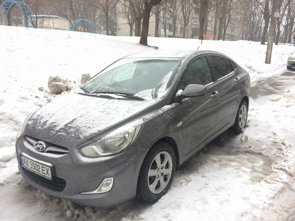 Зустрічайте нового улюбленця:)
