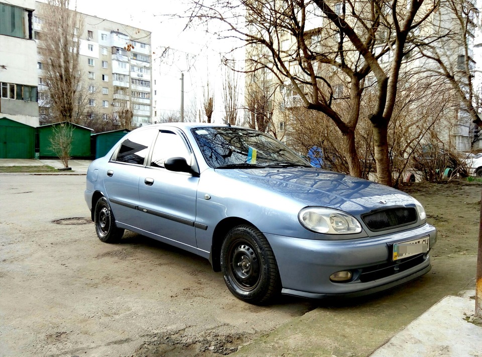Помив свою ластівку 1