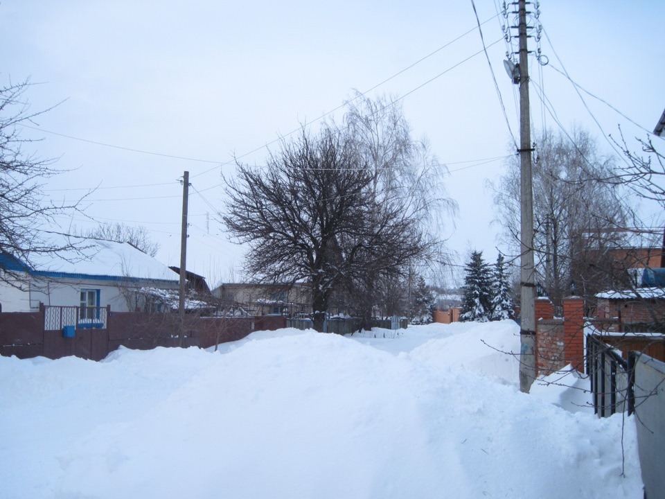 Диво природи або як у Чернігові зустрічають весну ;) 4