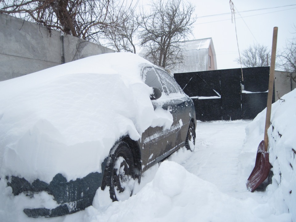 Диво природи або як у Чернігові зустрічають весну ;) 2