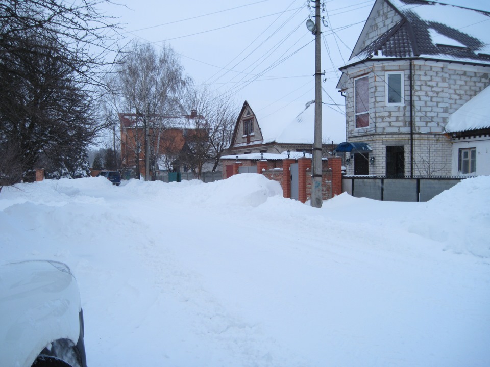 Диво природи або як у Чернігові зустрічають весну ;) 5