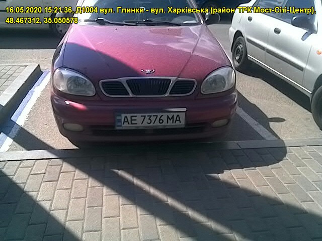 Фото моєї кішки вартістю 300 грн. 3