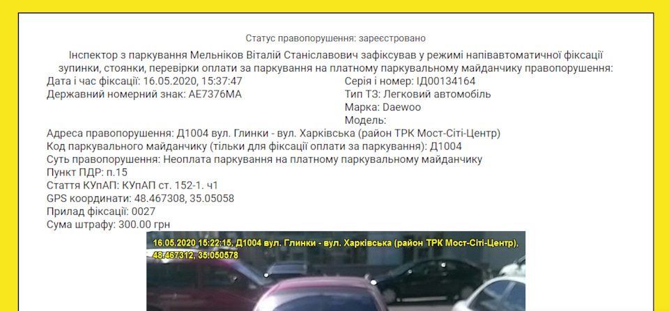 Фото моєї кішки вартістю 300 грн. 1