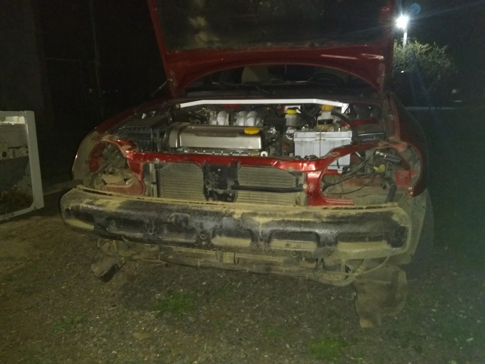 Фазан-самогубець або Бомба вдруге в одну вирву... 5