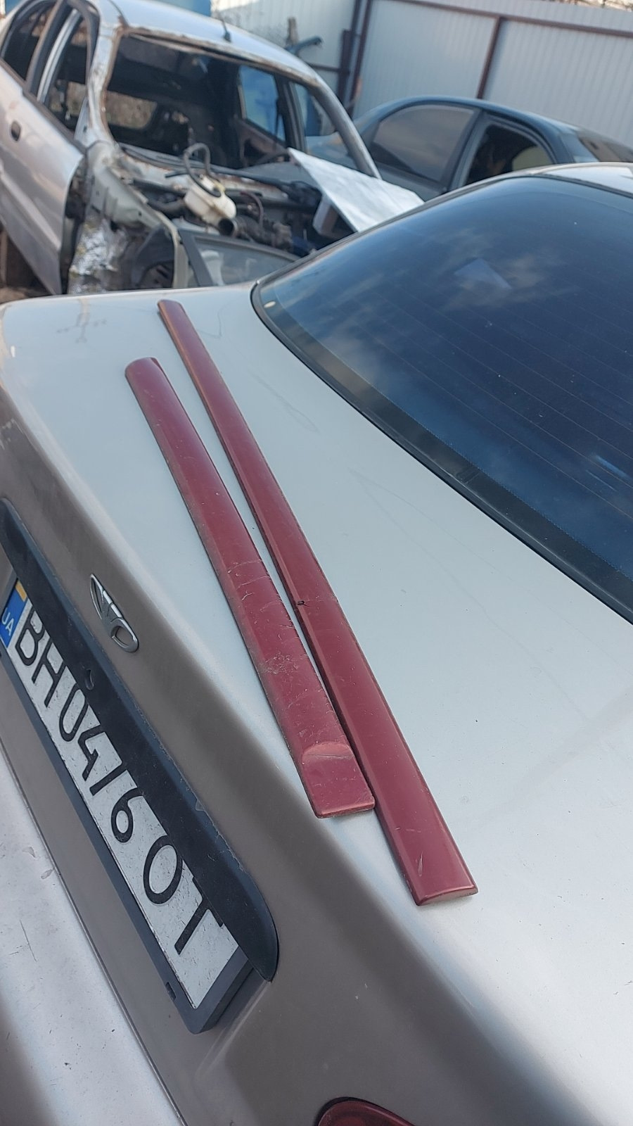 SIDRSANYA. Домашня ДТП або Ворота Ада… 1