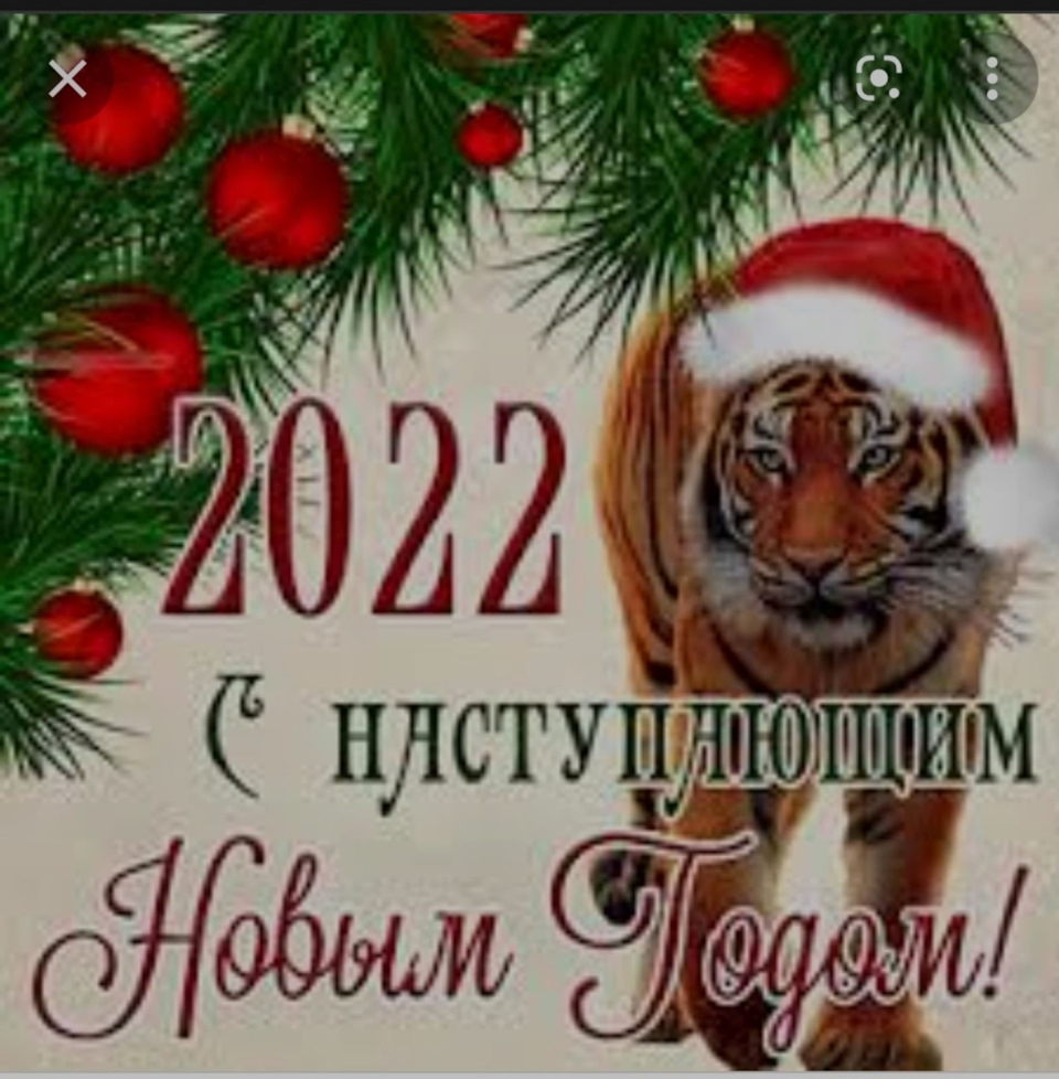 SIDRSANYA. Остання посада цього року або Новорічне привітання… 1
