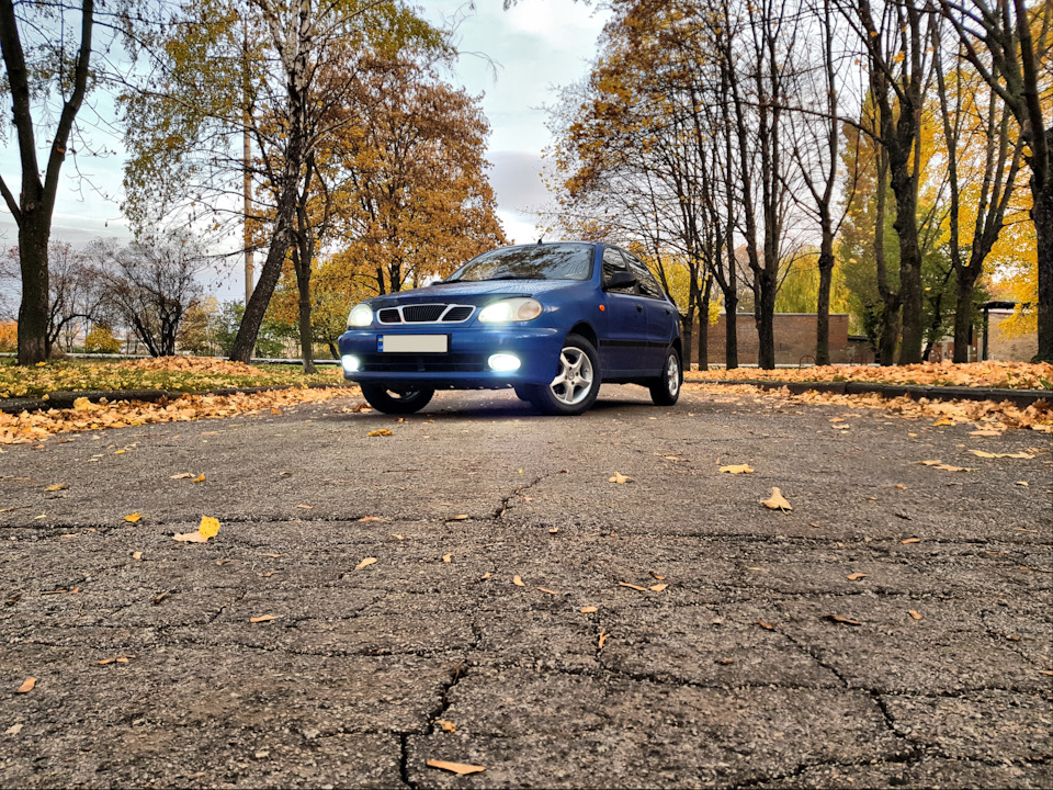 Трохи осінніх фарб) 5