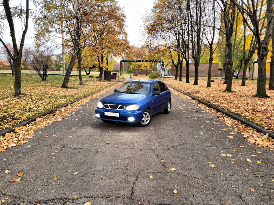 Трохи осінніх фарб) 2