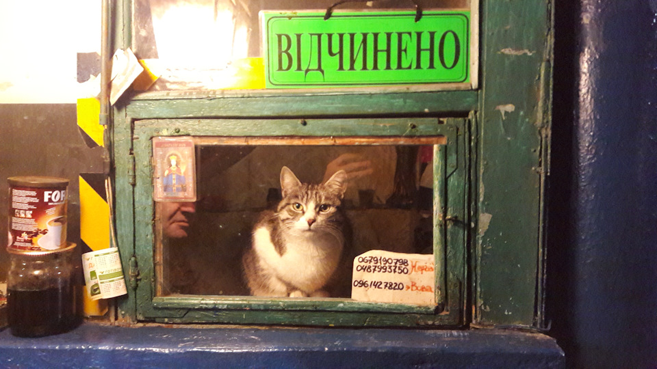 Привіт з Одеси! 2